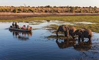 Chobe_River_Botswana_Africa-medium